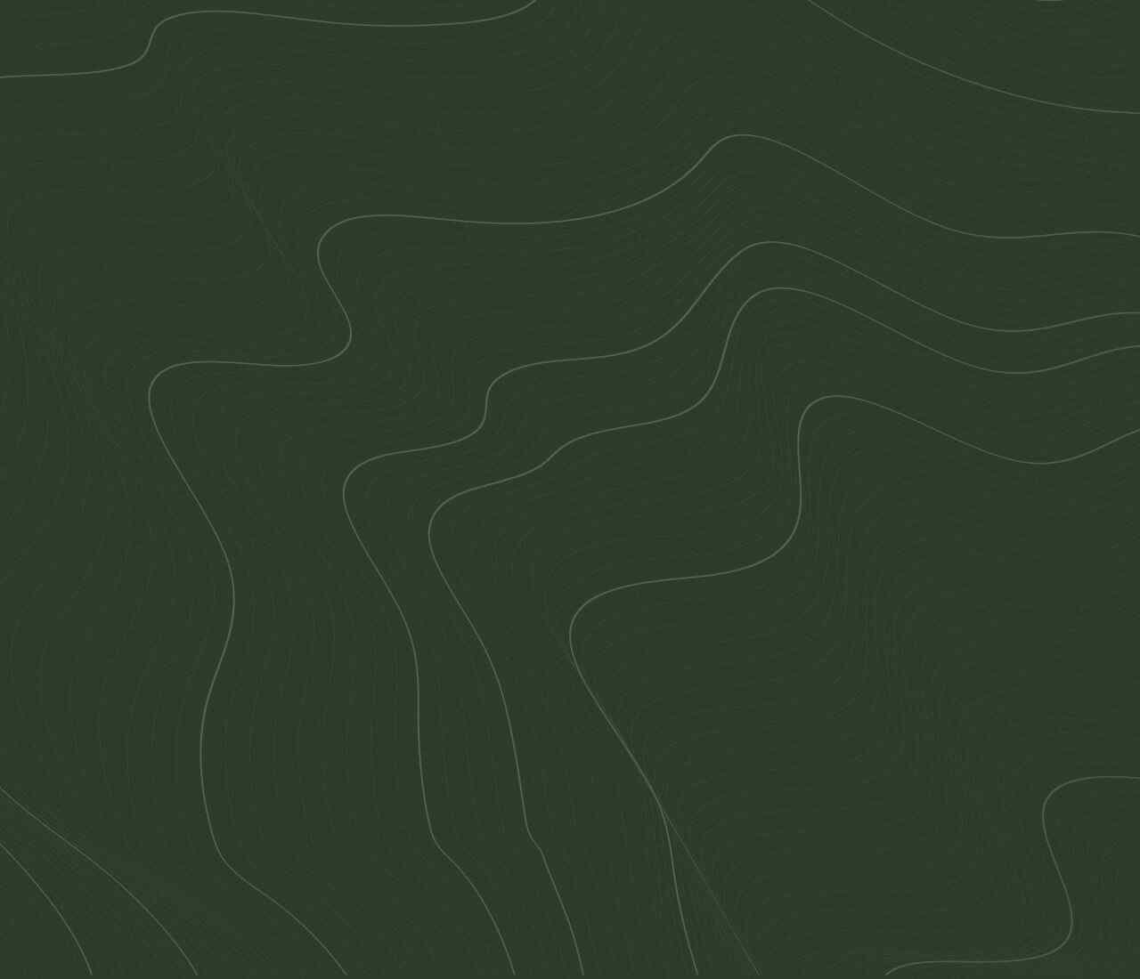 https://frisch.company/wp-content/uploads/2020/02/green-background-1280x1100.jpg