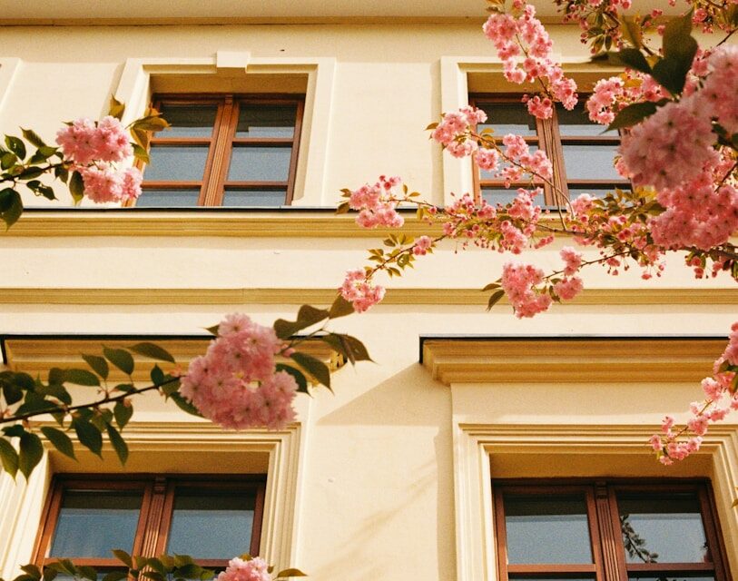 Energetische Gebäudesanierung: Was Eigentümer jetzt wissen müssen